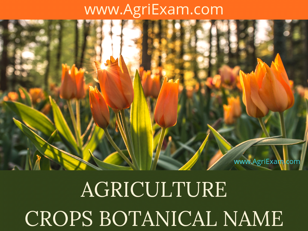 Plant Names Crops Botanical Names Agri Exam Study