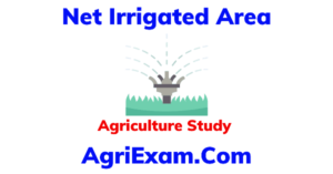 Net Irrigated Area New Data 2023